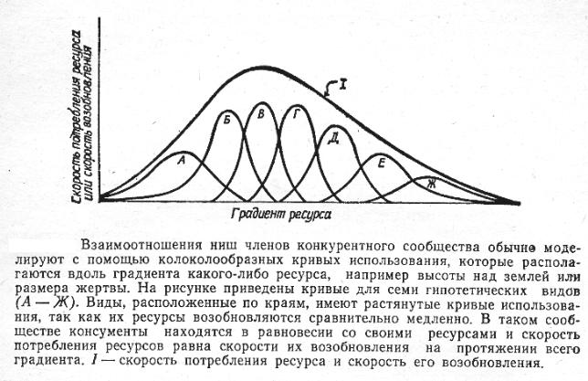 Экологическая ниша белого медведя