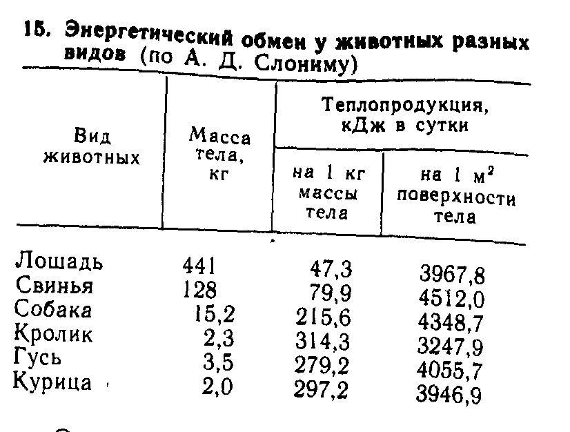 Обмен животных. Основной обмен веществ у животных. Интенсивность обмена веществ у животных. Метаболизм у разных животных. Энергетический обмен у животных.