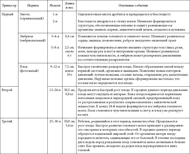Период развития и их характеристика таблица