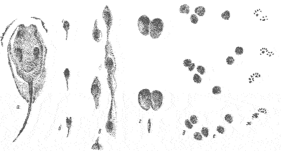 КТО ОСТАВИЛ СЛЕД? - Фотография 5 из 40 ВКонтакте