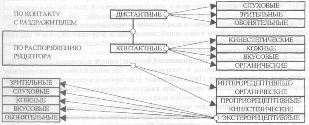 1. Ощущения: определение, классификац ии, характеристики.