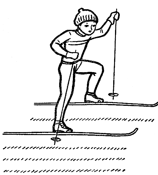 Учимся кататься на горных лыжах: как правильно? Советы от спортивного клуба «Снежная Академия».