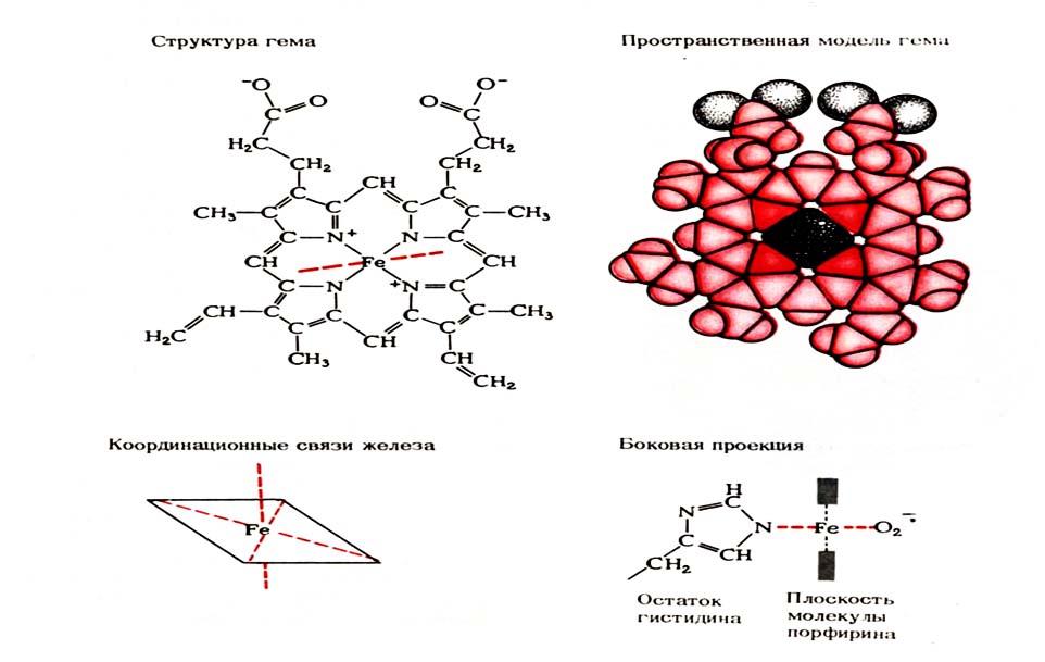 Координационная связь схема