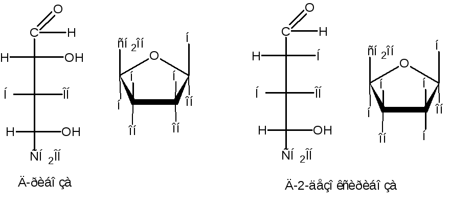 Рибоза 2 дезоксирибоза. Ксилоза циклическая формула. Д рибоза Альфа и бета. Ксилоза формула Хеуорса. Бетта рибоза и Бетта дезоксирибоза.