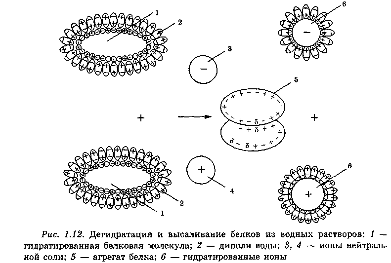 Седиментация белка. Осаждение белка органическими растворителями. Осаждение белков схема. Белок белковое взаимодействие схема. Физико-химические механизмы высаливания белков..