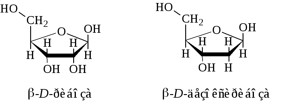 Рибоза биологическая роль. Строение рибозы и дезоксирибозы. 2 Дезоксирибоза. Дезоксирибоза структурная формула. Фуранозная форма рибозы.