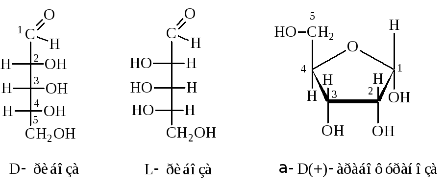 Рибоза структурная. Рибоза и дезоксирибоза линейные формулы. Циклическая дезоксирибоза. Дезоксирибоза структурная формула. Дезоксирибоза циклическая формула.