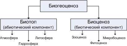 Заполните пустующие в схеме клетки указав компоненты биоценоза экосистема биоценоз биотоп