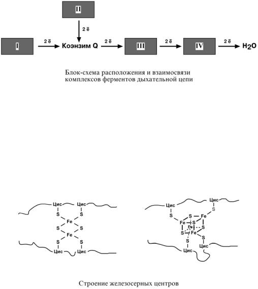 Дыхательная цепь биохимия. Схема цепи дыхательных ферментов. Ингибиторы ферментов дыхательной цепи схема. Дыхательная цепь Тимин. Цепь дыхательных ферментов биохимия.
