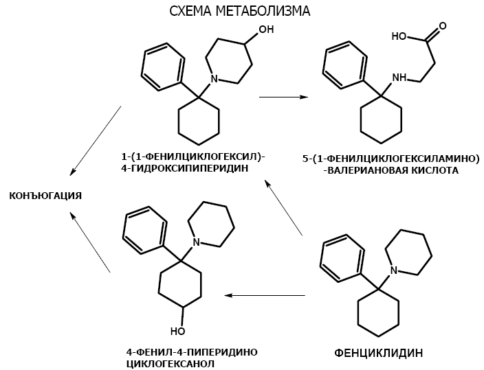 Фенциклидин