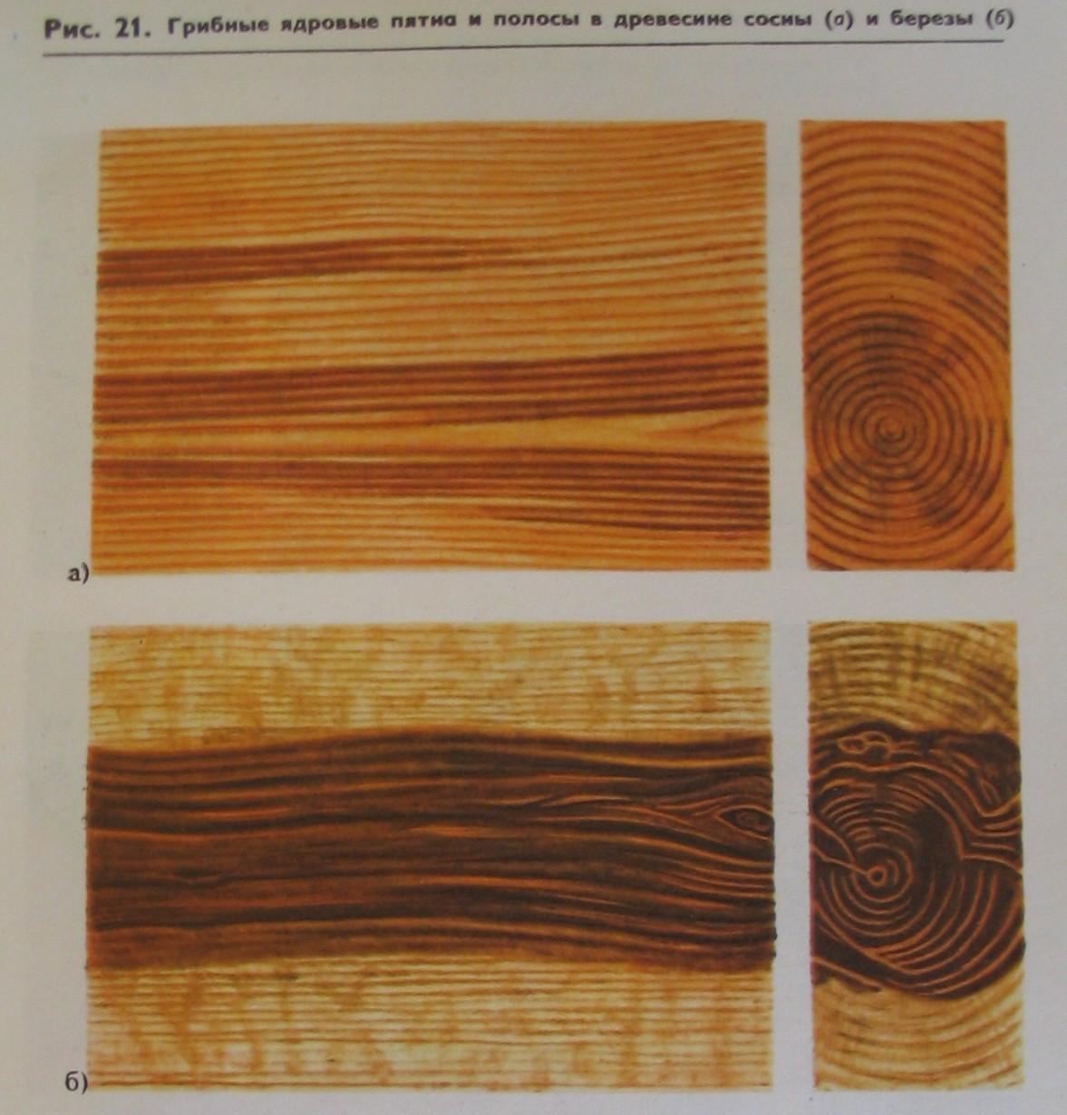 Пороки древесины хим окраски