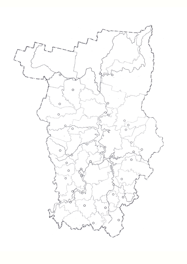 Пермь векторная карта