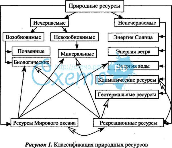 50. Категории сетевых информационных ресурсов