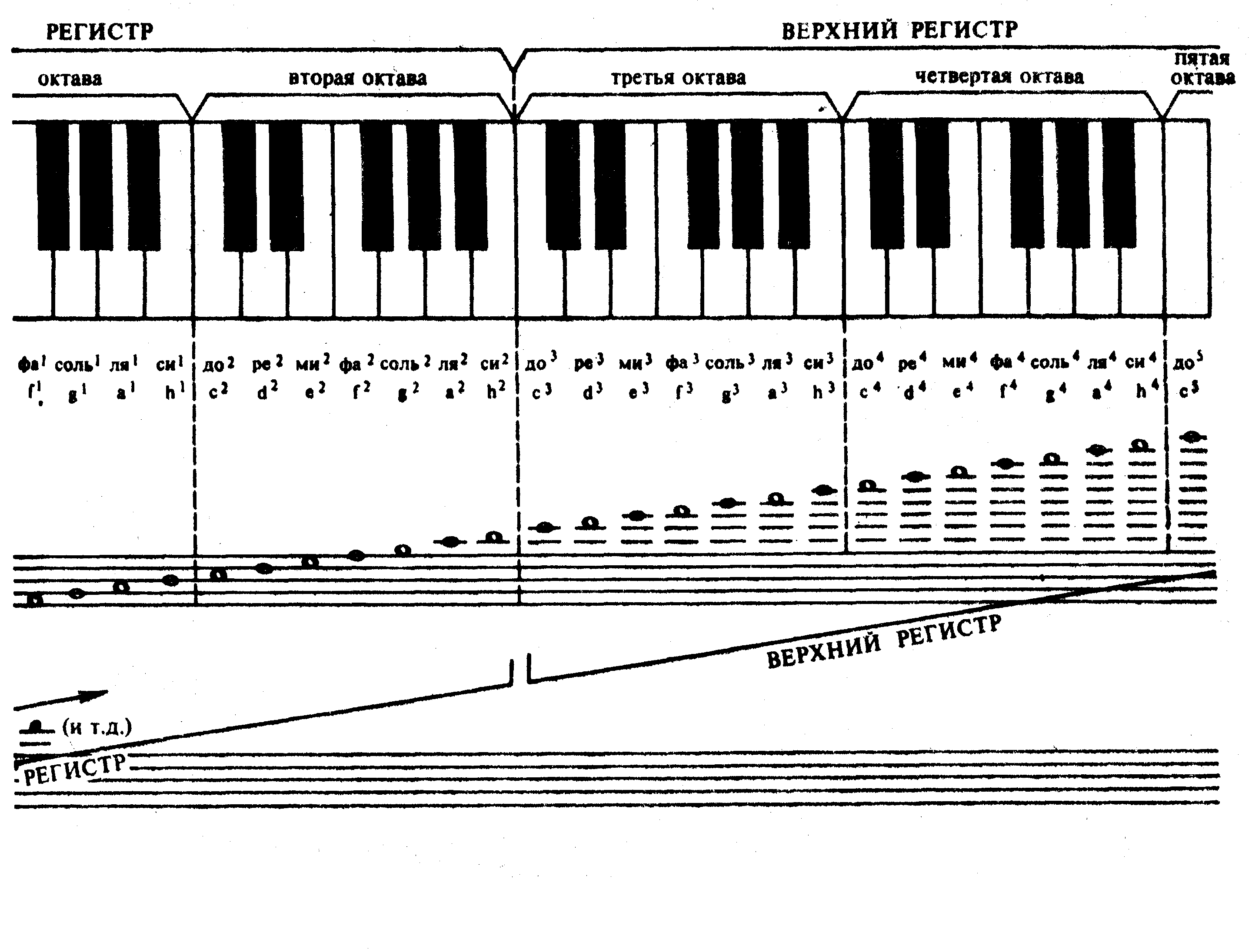 Клавиатура октавы и регистры фортепиано