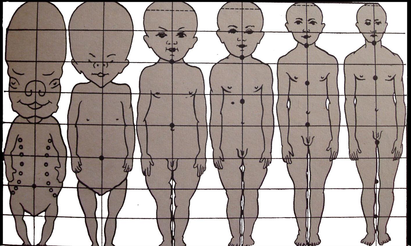 Тело человека растет растет. Пропорции тела новорожденного ребенка до 1. Схема пропорций тела ребенка. Пропорции взрослого человека и ребенка. Пропорции тела у детей различных возрастов.