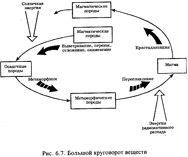 Схема круговорота веществ и потока энергии