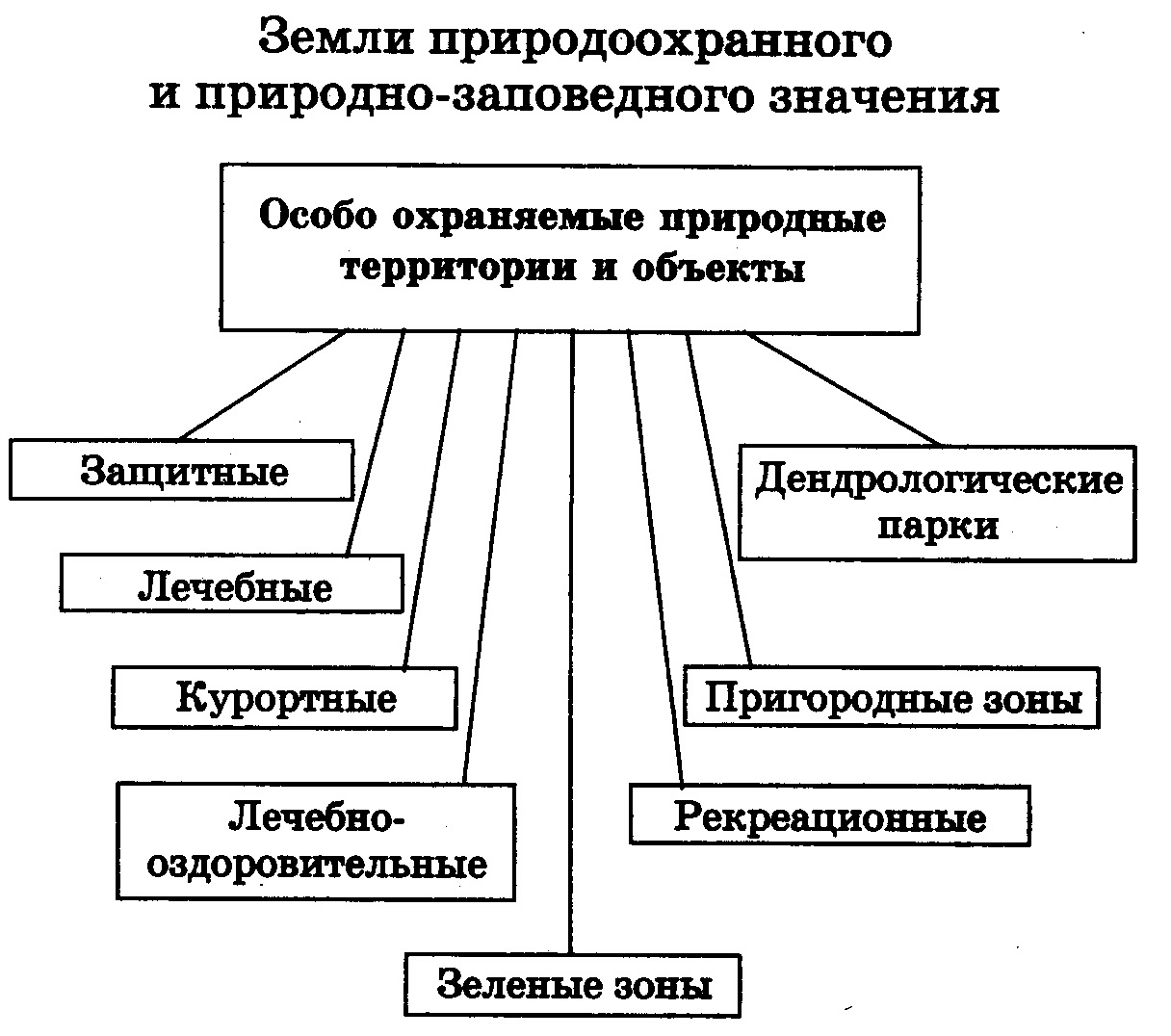 Таблица охраняемые территории россии. Схема виды особо охраняемых природных территорий России. Категории ООПТ схема. Составляют схему «особо охраняемые природные территории». Составьте схему виды особо охраняемых природных территорий России.