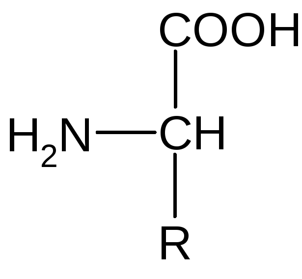 10 формул аминокислот. Аминокислоты формулы. Общая формула аминокислот. Формула аминокислоты в общем виде. Аминокислоты структурные формулы.
