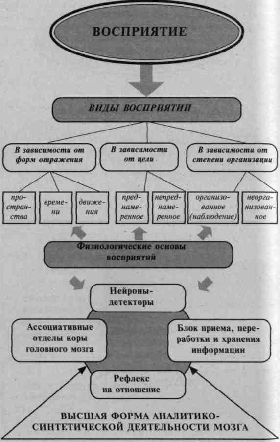 2.3.2. Классификация восприятий