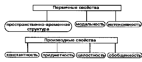 Свойства образа. Первичные и производные свойства перцептивного образа по л.м.Веккеру. Перцепт схема. Эмпирические характеристики вторичных образов. Лев Маркович Веккер Познавательные процессы схема.