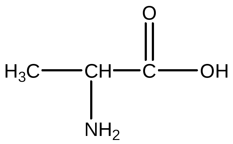 3 аминопропионовая кислота