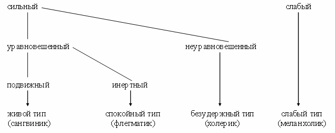 Высшая нервная деятельность человека.