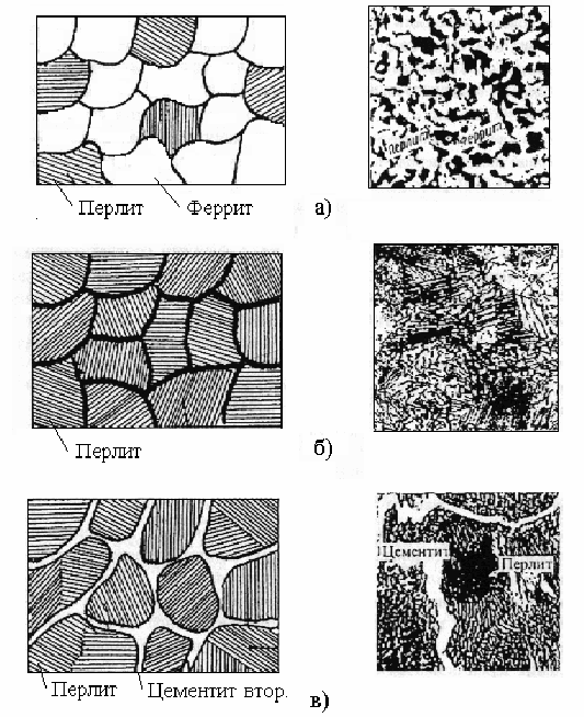 Структура какой стали представлена на рисунке