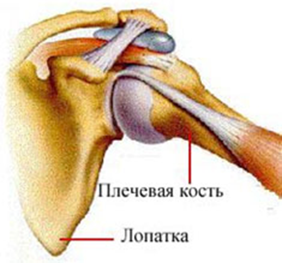 Лфк при вывихе акс