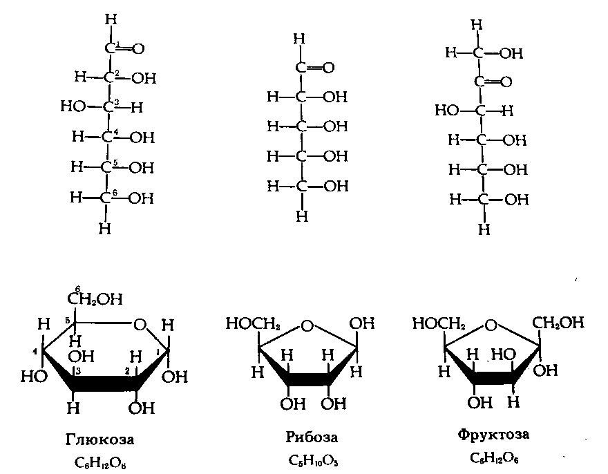 Глюкоза галактоза рибоза. Углеводы структурная формула. Структурные формулы основных углеводов. Структурная формула углеводов моносахаридов. Углеводы моносахариды формулы.