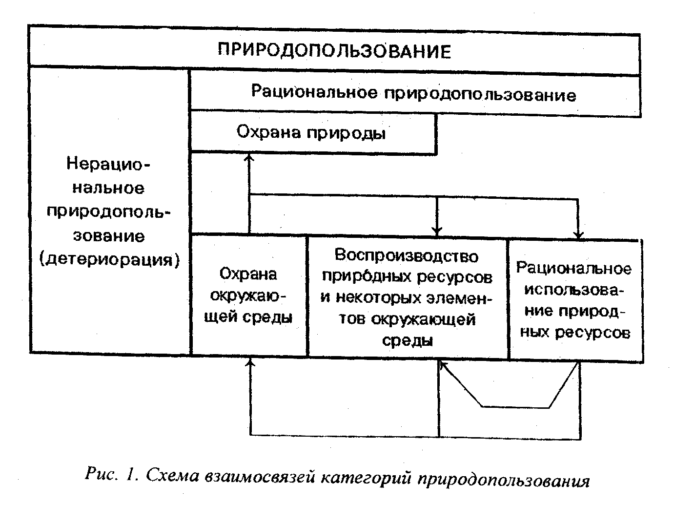 Принципы рационального природопользования и их реализация