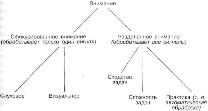 Аспекты внимания. Раздельное внимание. Разделенное внимание. Самовоспоминание Разделение внимания. Разделение внимания практика.