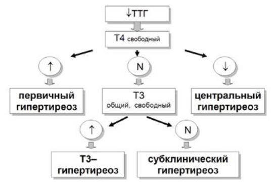 Гипотиреоз ттг т4. Гипертиреоз ТТГ. Гипертиреоз классификация. Показатели ТТГ при гипертиреозе.