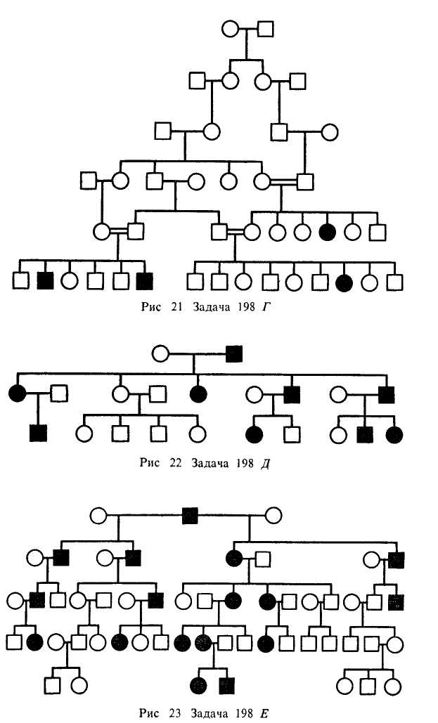 Древо семьи биология генетика