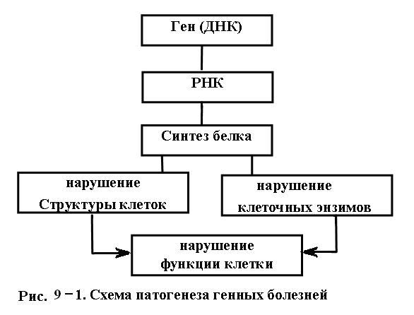 Генные болезни схема