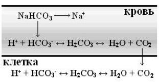 Nahco3 mg no3 2. Диссоциация гидрокарбоната натрия. Диссоциация гидрокорбанатанатрия. Реакция диссоциации натрия гидрокарбонат. Уравнение диссоциации гидрокарбоната натрия.