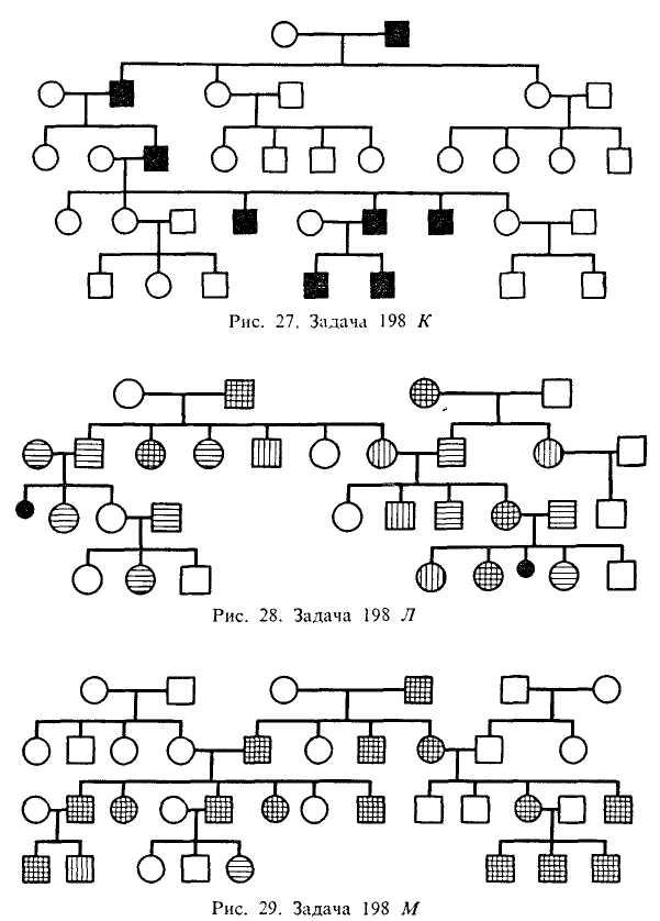 Как рисовать генеалогическое дерево генетика - 96 фото