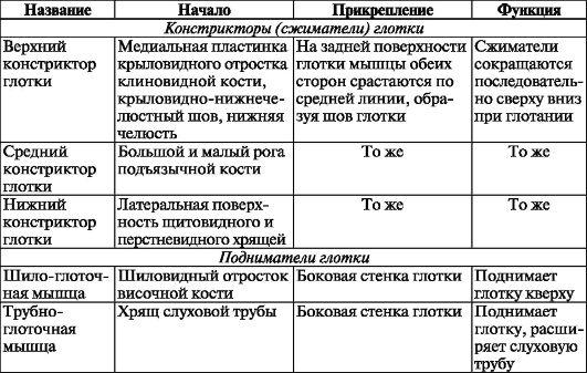 Дыхательная система: хрящи гортани - описание, заказать Гэотар-мед
