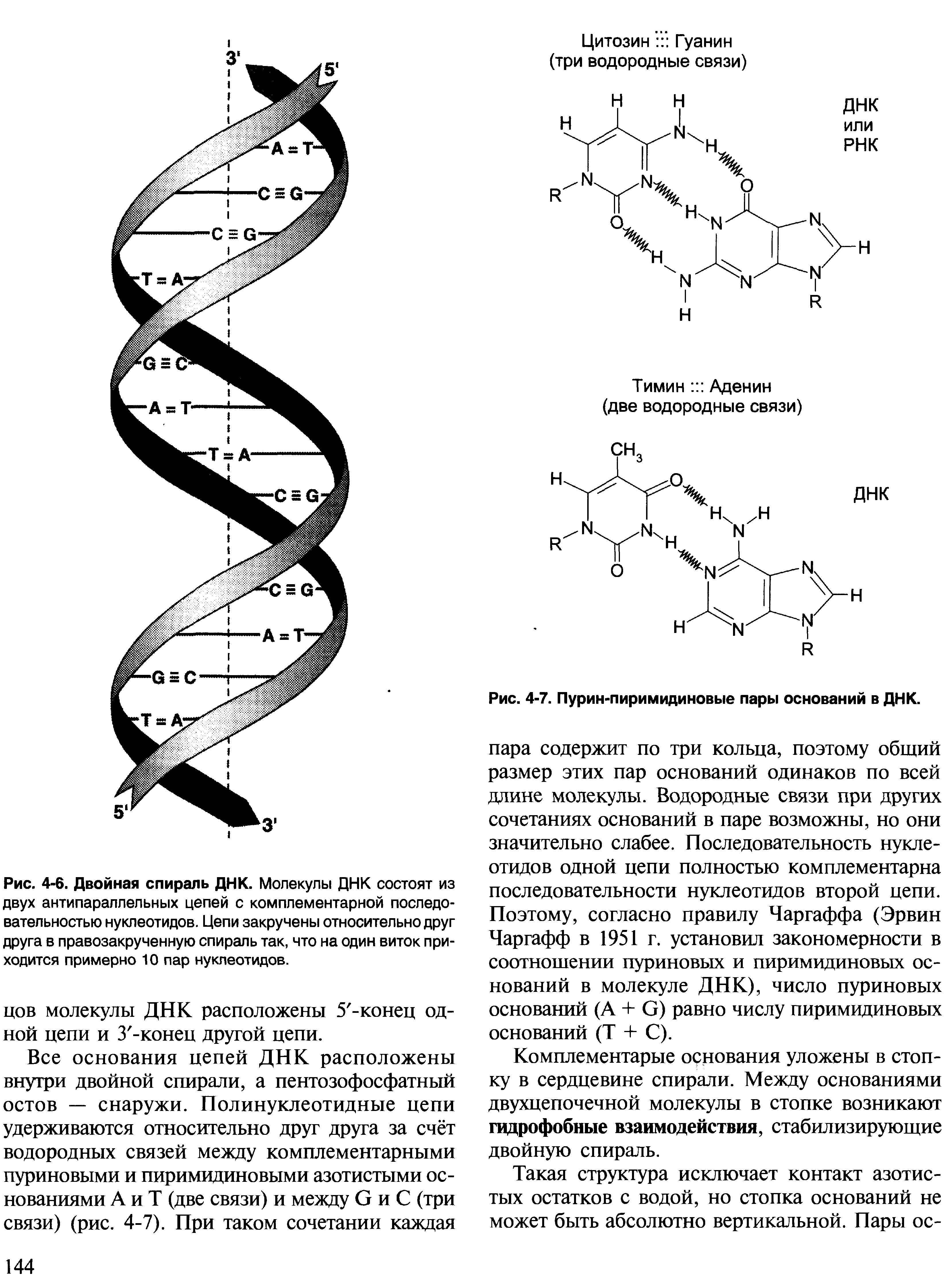 Двойная водородная связь. Водородные связи в ДНК. Водородные связи в молекуле ДНК. Водородные связи между ДНК. Связи в двойной спирали ДНК.