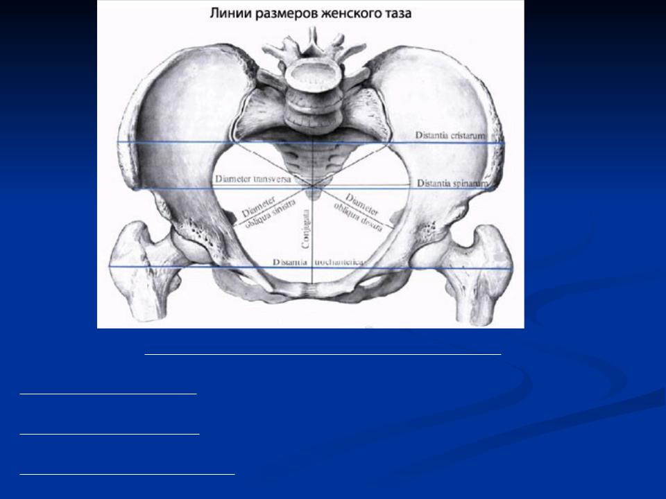 Акушерские размеры таза на рисунке