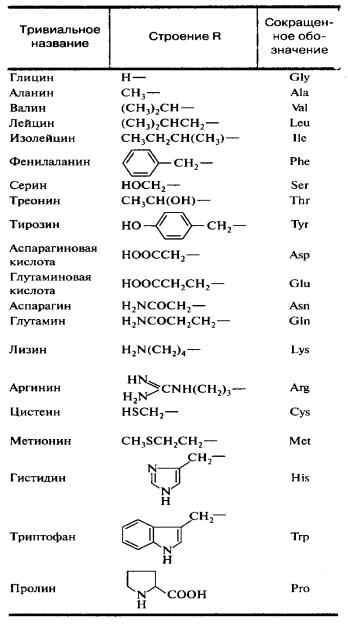 13 аминокислот. Тривиальные названия аминокислот таблица. Названия аминокислот по ИЮПАК. Фенилаланин ИЮПАК название. Тривиальные названия аминокислот.