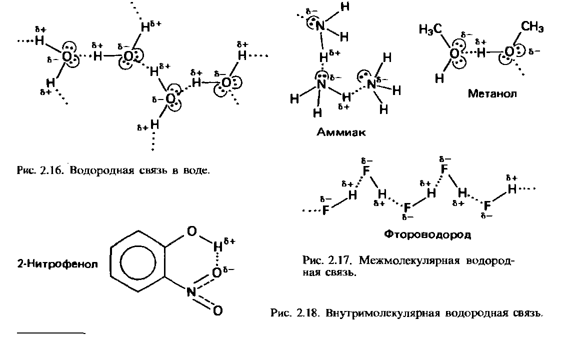 Водородные силы