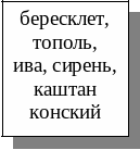 Frame25
