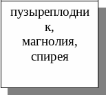 Frame27