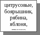 Frame3