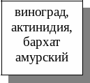 Frame1