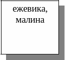 Frame5