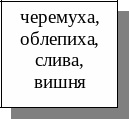 Frame4