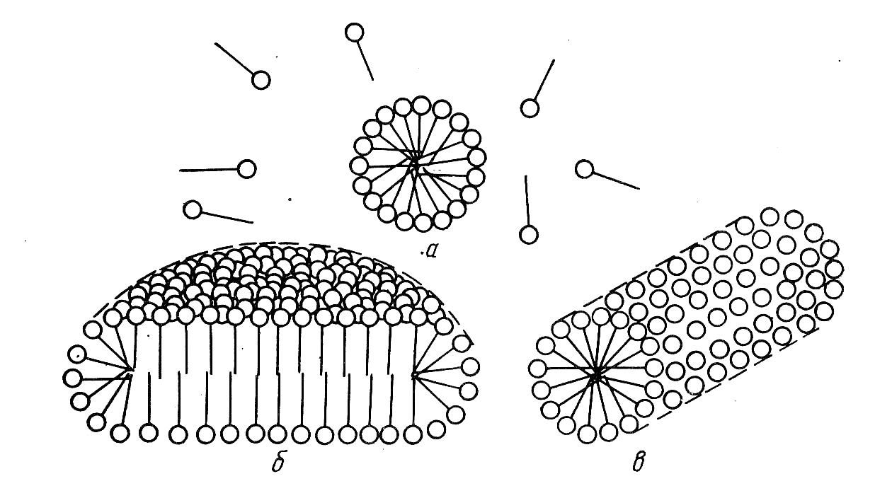 Мицеллы пав. Строение мицелл пав. Цилиндрические мицеллы пав. Схематическое строение мицелл пав. Мицеллы Мак Бена.