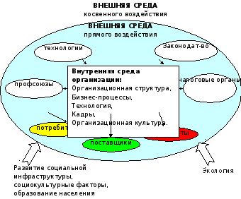 Внешняя среда клетки. Теория поля Курта Левина кратко и понятно. Среда прямого и косвенного воздействия детский сад. Среда прямого и косвенного воздействия автосервиса. Среда прямого и косвенного воздействия на банк.