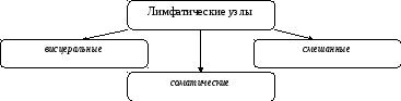 Группа 82
